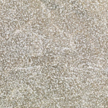 Affumicato Bushhammared Brushed