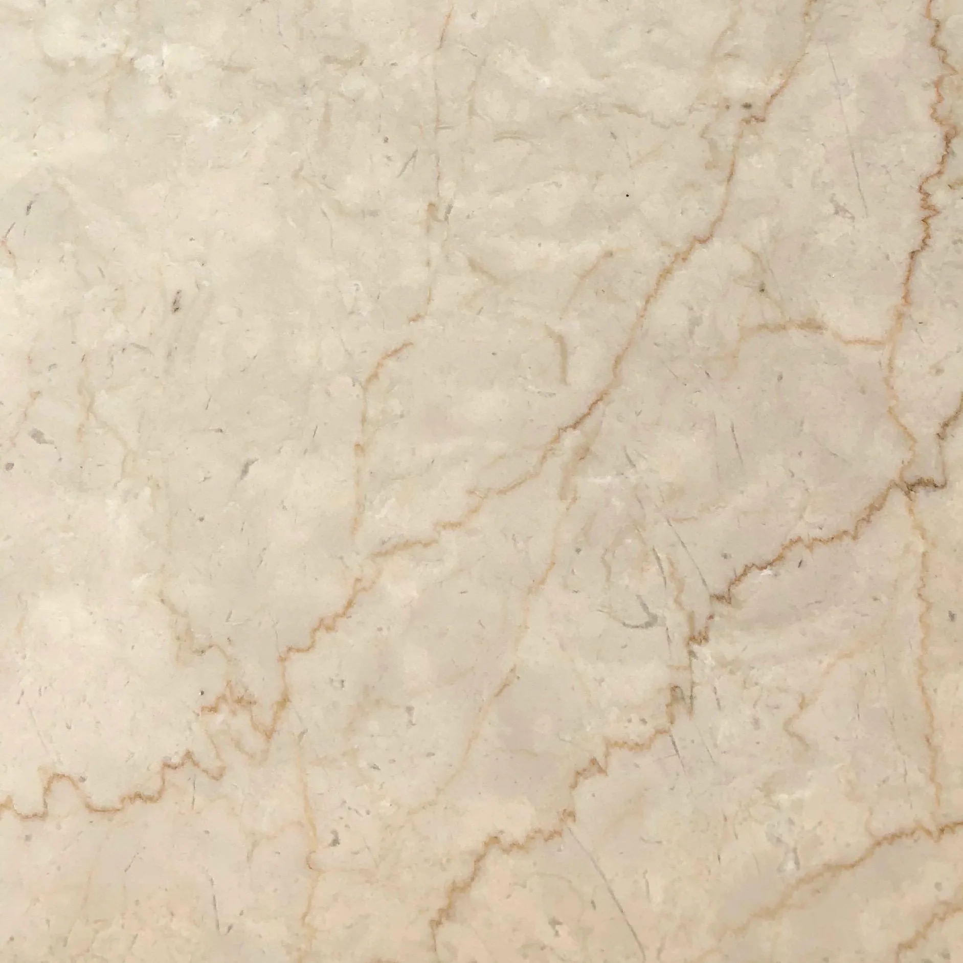 Turkish Botticino Marble | European Cream Series