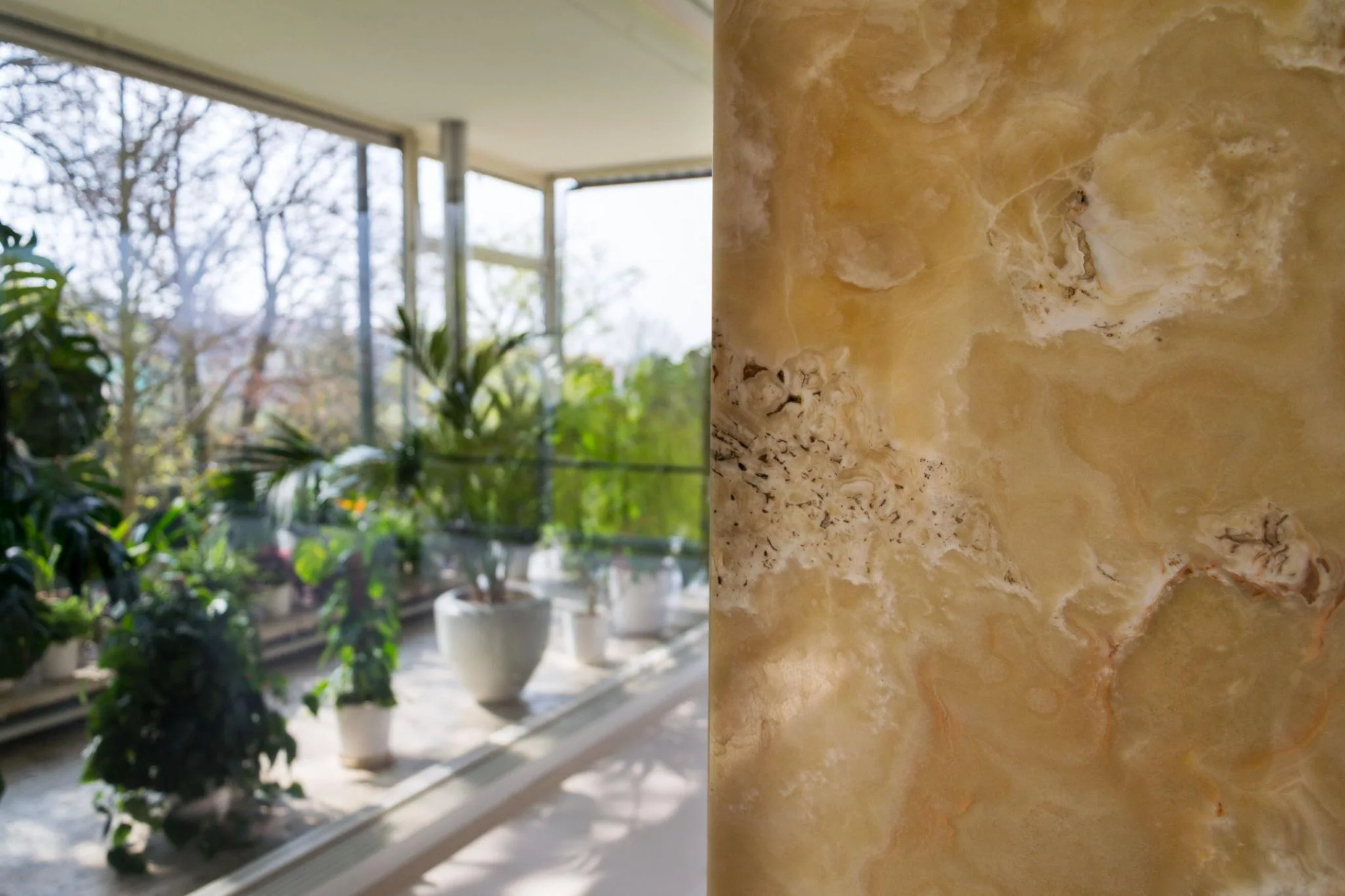 Brown Onyx | Warm Luxury Collection