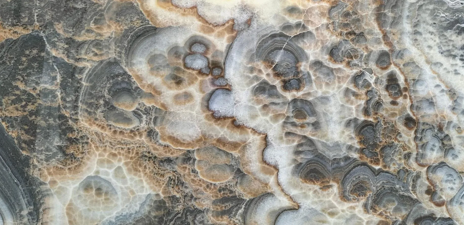 Brown Onyx | Warm Luxury Collection