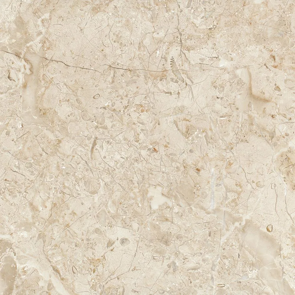 Bursa Beige Marble | Clean Beige Project Stone