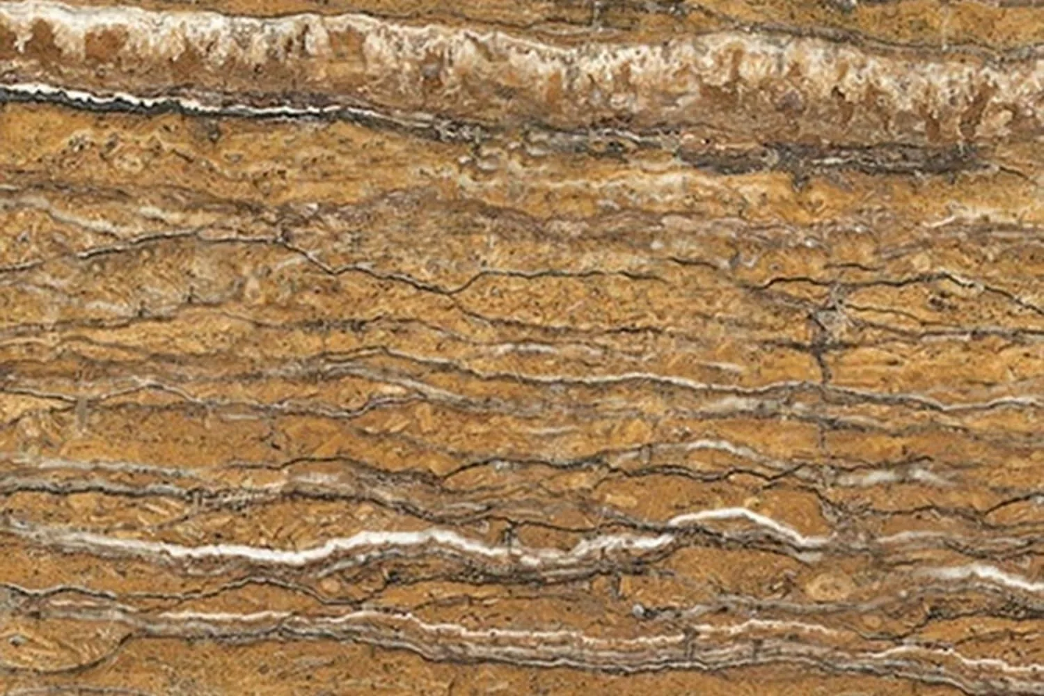 Walnut Travertine | Warm Rustic Luxury