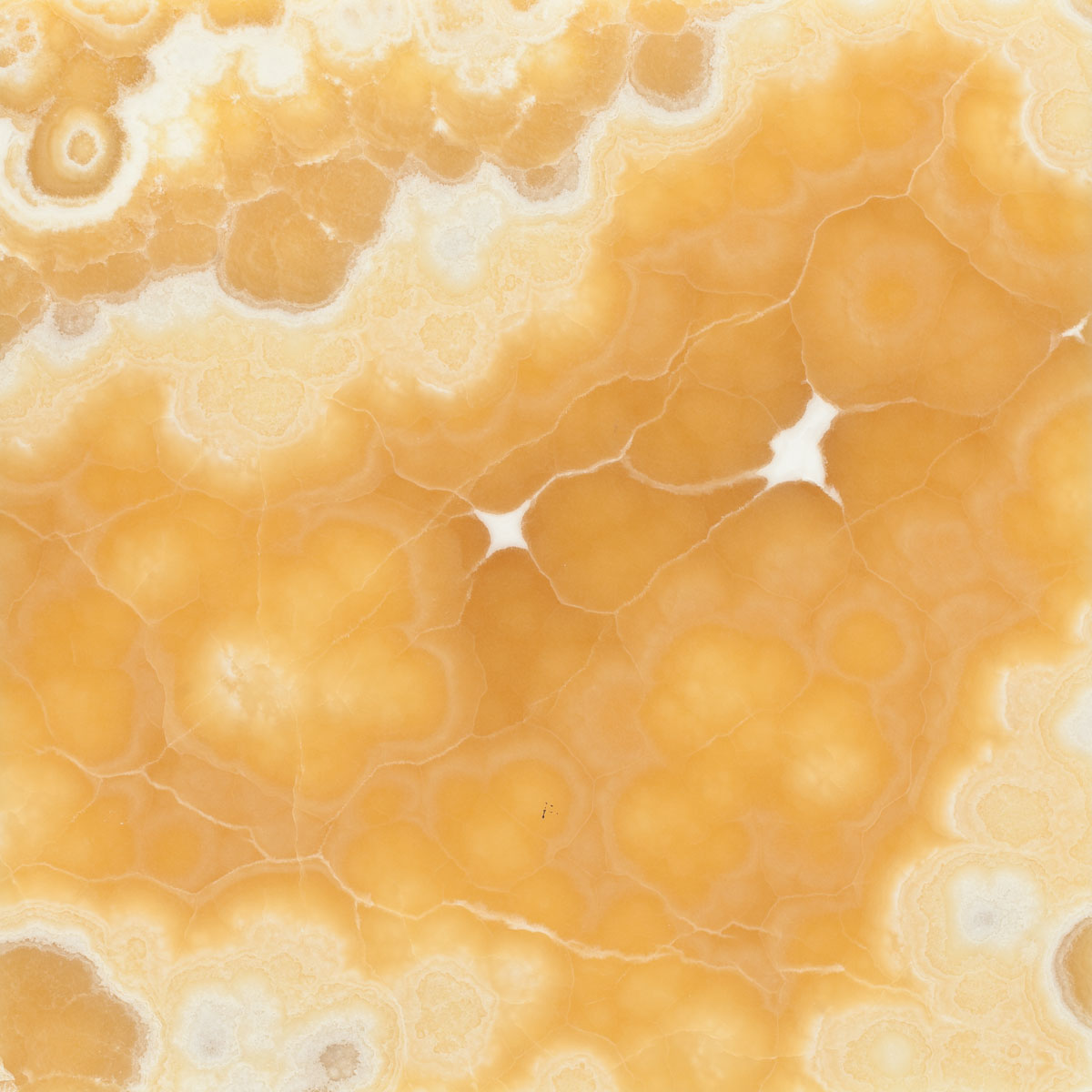 Honey Onyx | Turkish Onyx Supplier | Yase Marble